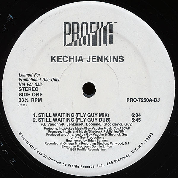 Kechia Jenkins : Still Waiting (12", Promo)