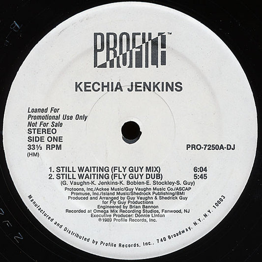 Kechia Jenkins : Still Waiting (12", Promo)
