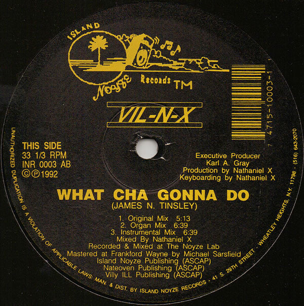Vil-N-X : What Cha Gonna Do (12")