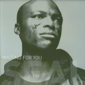 Seal : Waiting For You (2x12")