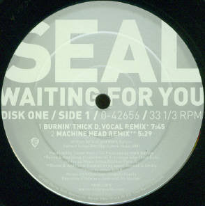 Seal : Waiting For You (2x12")
