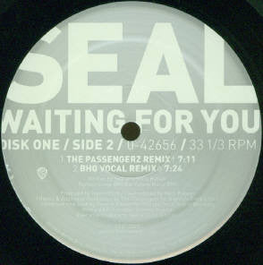 Seal : Waiting For You (2x12")
