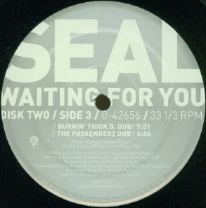 Seal : Waiting For You (2x12")