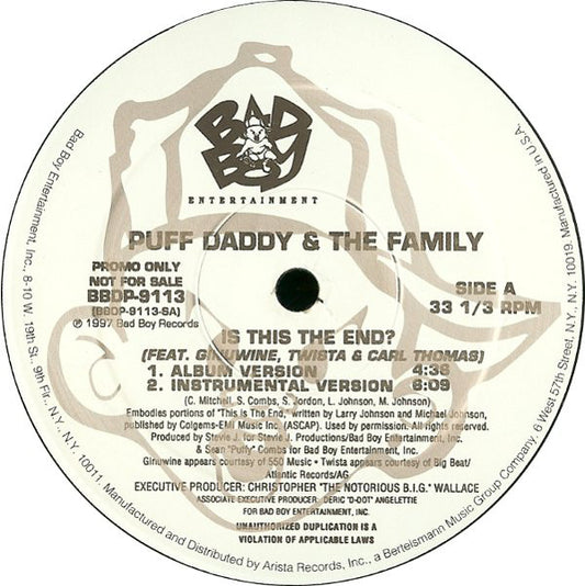 Puff Daddy & The Family : Is This The End? / Pain (12", Promo)