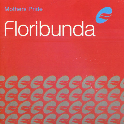 Mother's Pride : Floribunda (12")