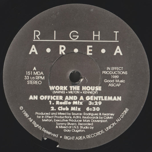 An Officer And A Gentleman : Work The House (12")