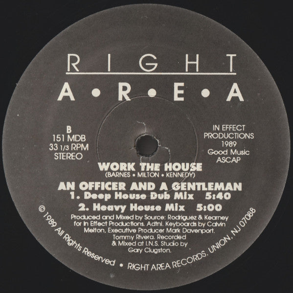 An Officer And A Gentleman : Work The House (12")