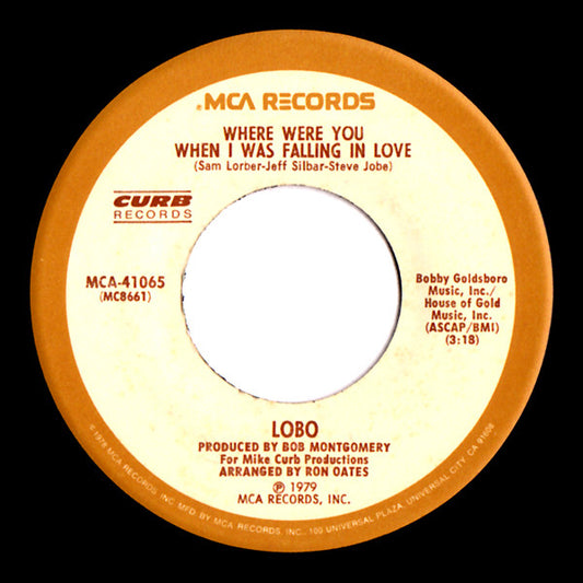 Lobo (3) : Where Were You When I Was Falling In Love (7", Single, Pin)