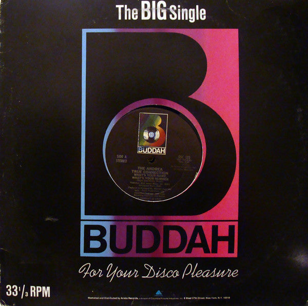 Andrea True Connection : What's Your Name, What's Your Number / Fill Me Up (Heart To Heart) (12", Single)