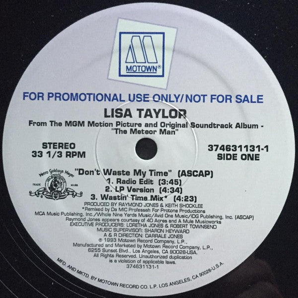 Lisa Taylor / Frank McComb Featuring Daryl Coley : Don't Waste My Time / Your Future Is Our Future (12", Single, Promo)