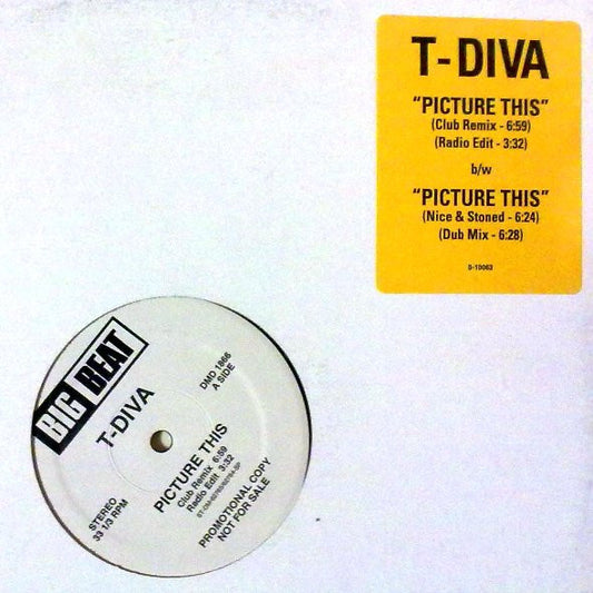 Technodiva : Picture This (12", Promo)