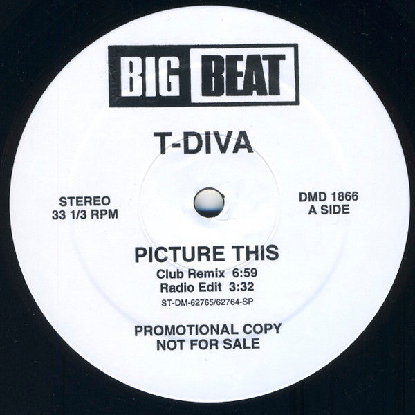 Technodiva : Picture This (12", Promo)