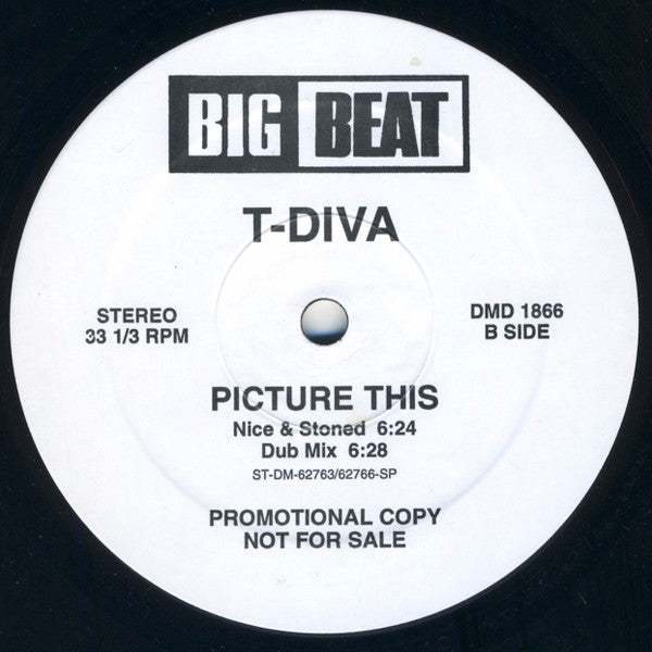 Technodiva : Picture This (12", Promo)