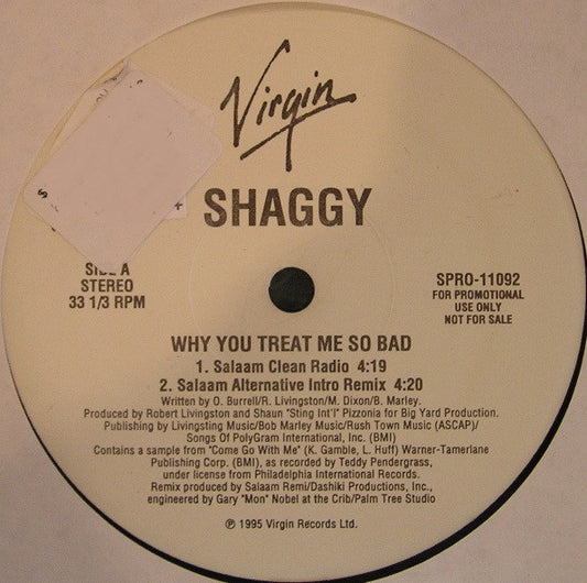 Shaggy : Why You Treat Me So Bad (12", Promo)