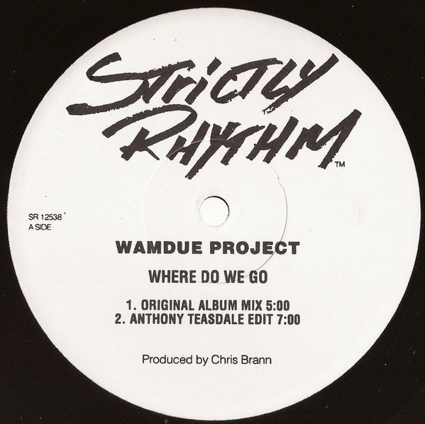 Wamdue Project : Where Do We Go (12", TP)