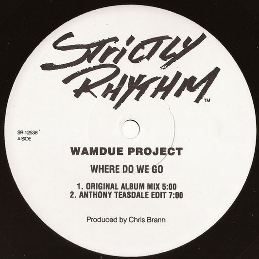 Wamdue Project : Where Do We Go (12", TP)