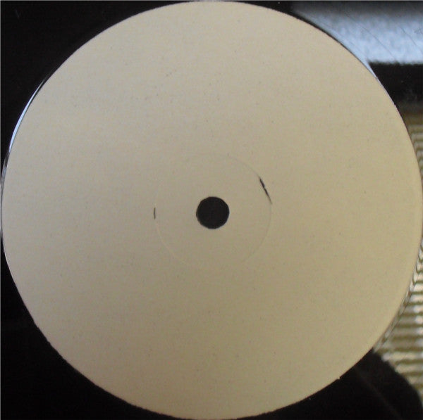 Raker Project : Truth (12", W/Lbl)