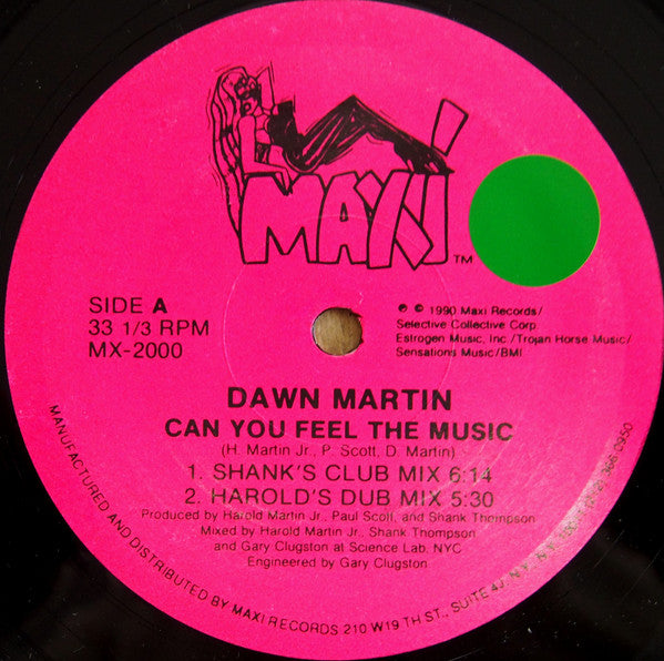 Dawn Martin : Can You Feel The Music (12")