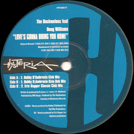 The Rockmelons : Love's Gonna Bring You Home (12")