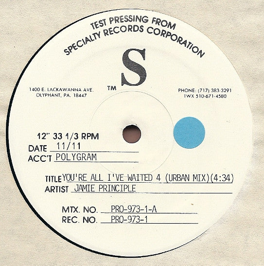 Jamie Principle : You're All I've Waited 4 (12", TP)