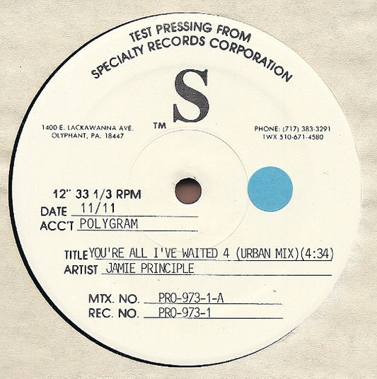 Jamie Principle : You're All I've Waited 4 (12", TP)