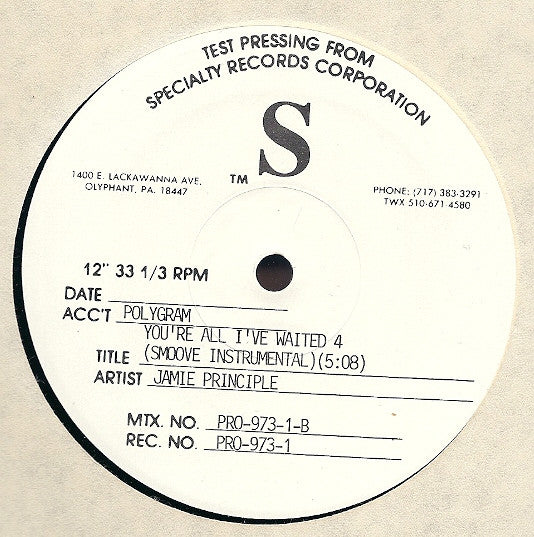 Jamie Principle : You're All I've Waited 4 (12", TP)
