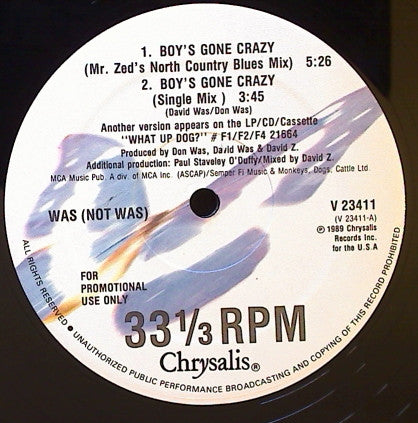 Was (Not Was) : Boy's Gone Crazy (12", Promo)