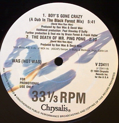 Was (Not Was) : Boy's Gone Crazy (12", Promo)