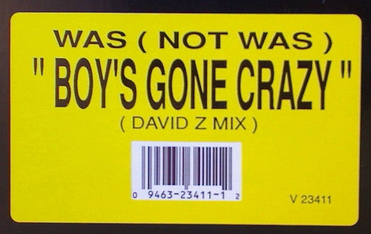 Was (Not Was) : Boy's Gone Crazy (12", Promo)