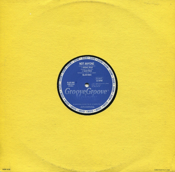 Black Box : Not Anyone (Remix Kamasutra) (12")