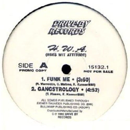 H.W.A. : Hoes Wit Attitude (12", Promo)