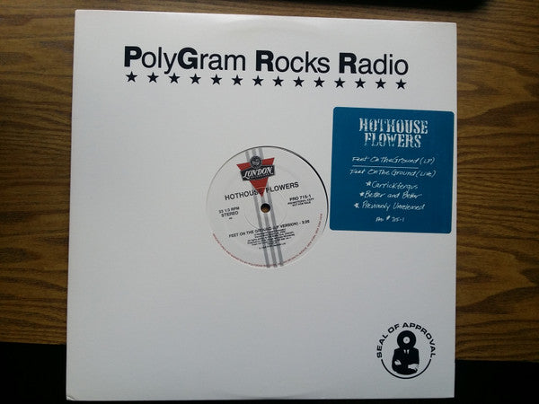 Hothouse Flowers : Feet On The Ground (12", Promo)