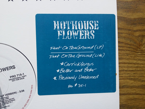 Hothouse Flowers : Feet On The Ground (12", Promo)