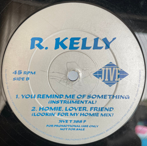 R. Kelly : You Remind Me Of Something (12", Promo)