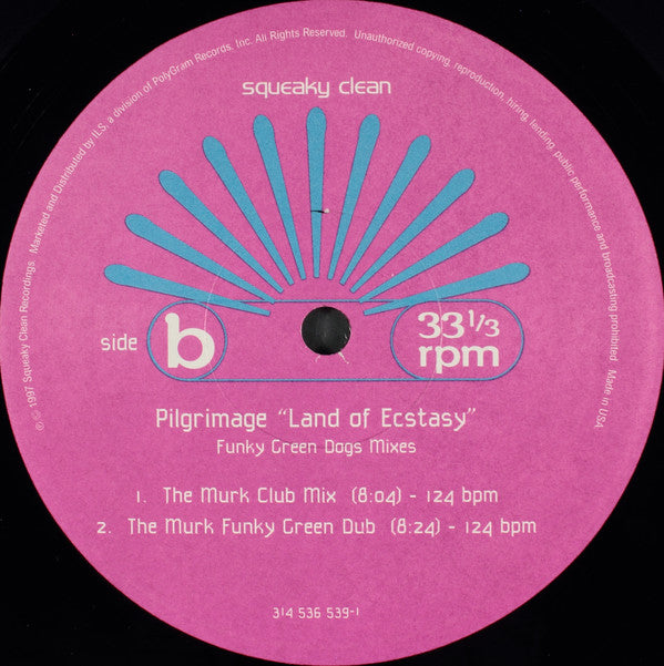 Pilgrimage : Land Of Ecstasy (12")