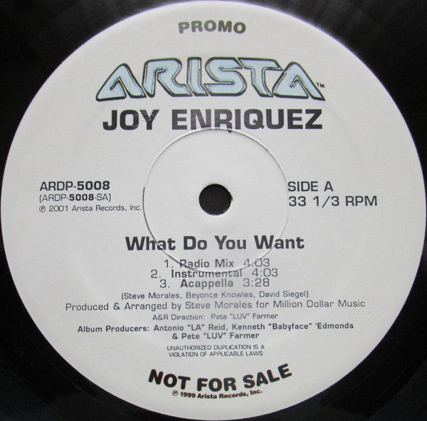Joy Enriquez : What Do You Want (12", Promo)