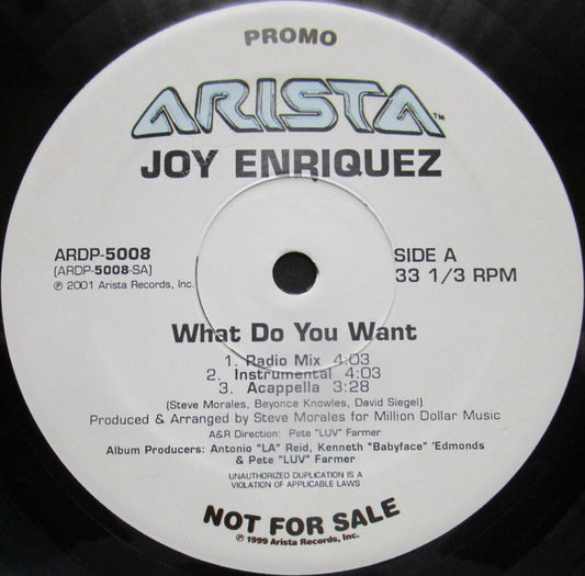 Joy Enriquez : What Do You Want (12", Promo)