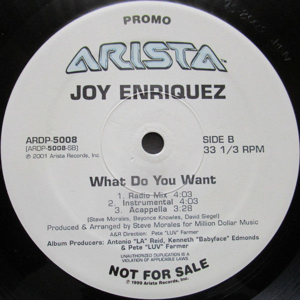 Joy Enriquez : What Do You Want (12", Promo)