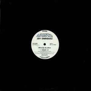 Joy Enriquez : What Do You Want (12", Promo)