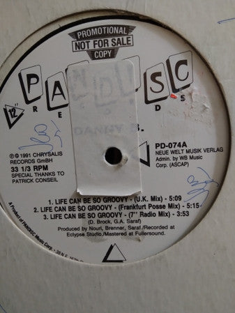 Danny B : Life Can Be So Groovy (12")