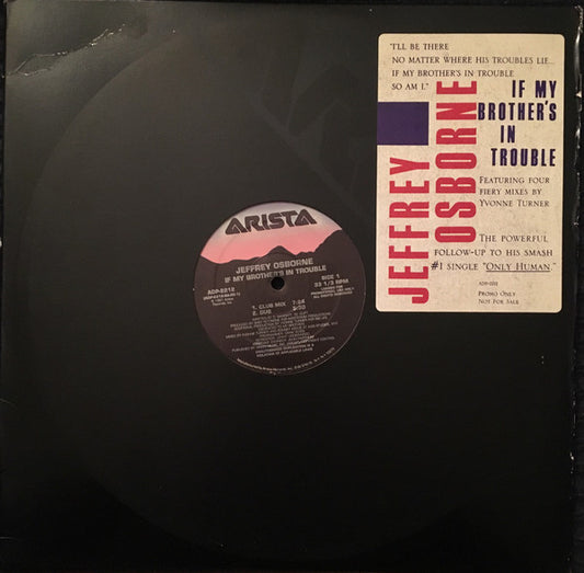 Jeffrey Osborne : If My Brother's In Trouble (12", Promo)