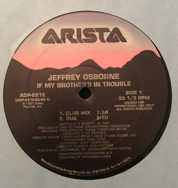 Jeffrey Osborne : If My Brother's In Trouble (12", Promo)