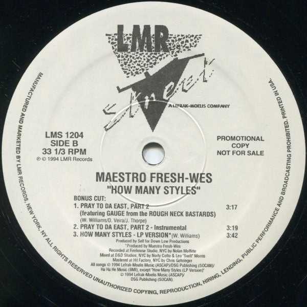 Maestro Fresh-Wes : How Many Styles (12", Promo)