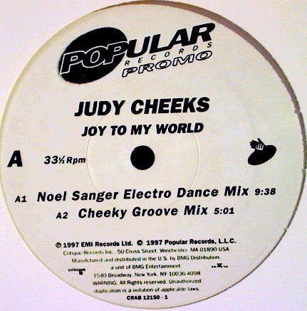 Judy Cheeks : Joy To My World (12", Promo)