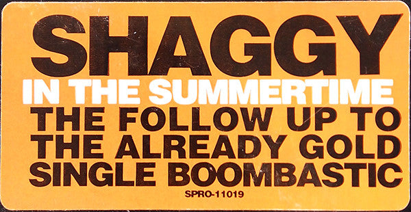 Shaggy : In The Summertime (12", Promo)