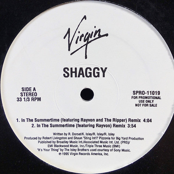 Shaggy : In The Summertime (12", Promo)