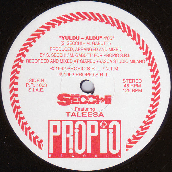 Stefano Secchi Featuring Taleesa : We Are Easy To Love (12")