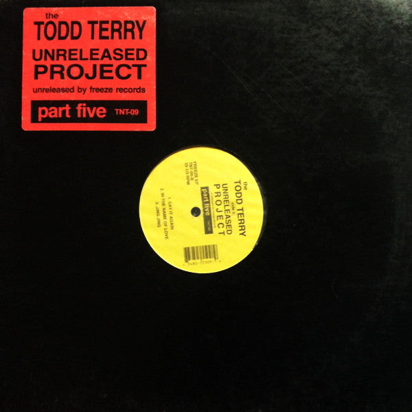 Todd Terry : The Todd Terry Unreleased Project Part 5 (12", EP)