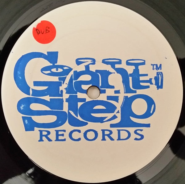 Anastacia : Not That Kind (2x12", W/Lbl)