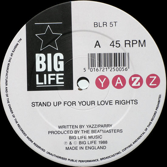 Yazz : Stand Up For Your Love Rights (12")